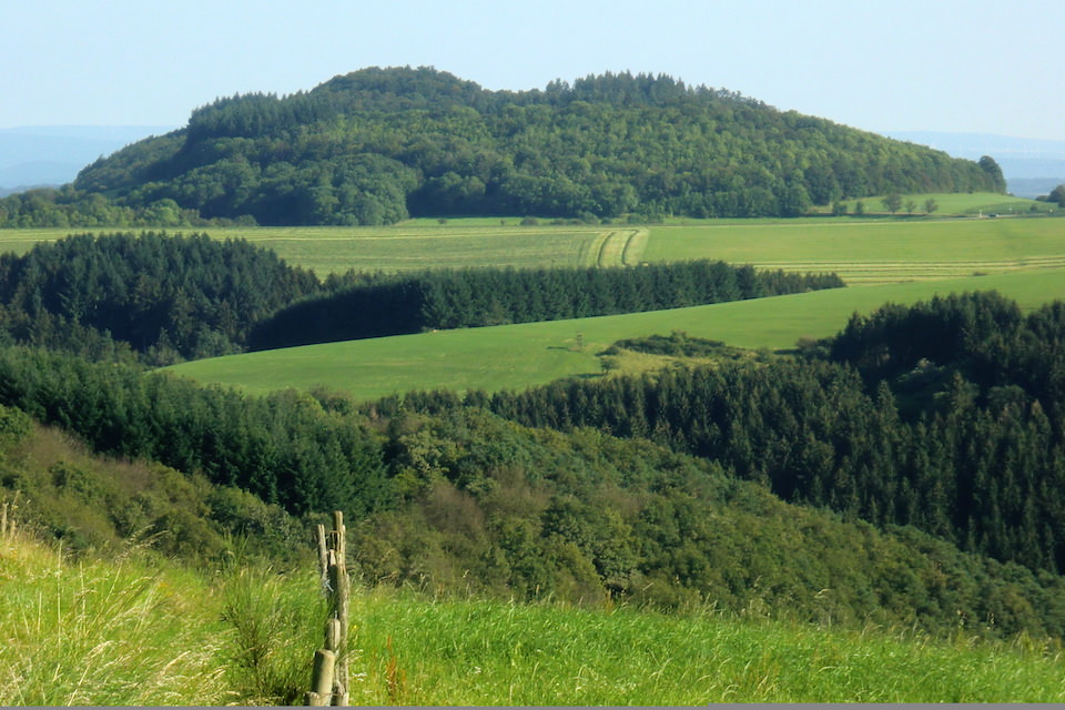 Stacks Image 896