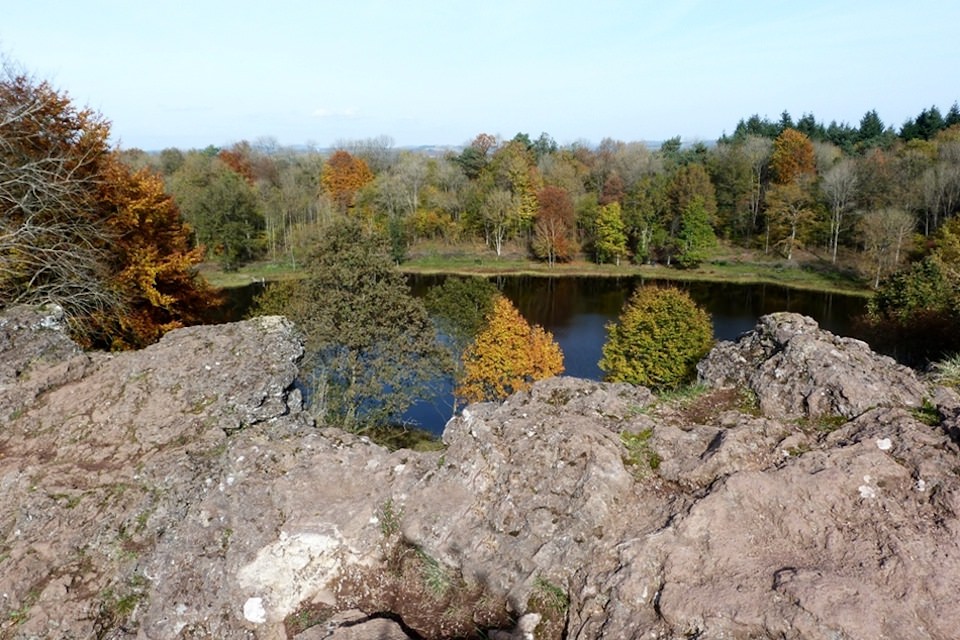 Stacks Image 879